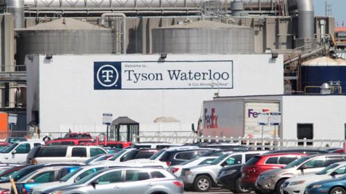 聚眾扎堆,美國多地疫情反彈 新西蘭麥當(dāng)勞凌晨5點(diǎn)排長(zhǎng)隊(duì) 專家急了 莫要放松