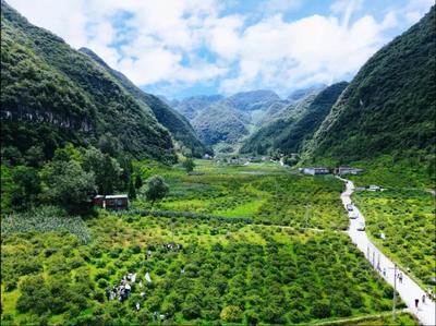 六盤水市產(chǎn)業(yè)轉(zhuǎn)型升級示范區(qū)2項經(jīng)驗在全國推廣并獲通報表揚