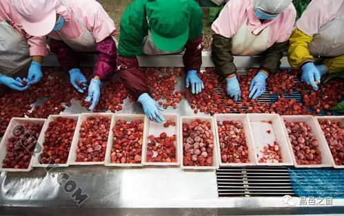 改開(kāi)四十年 農(nóng)林牧漁篇