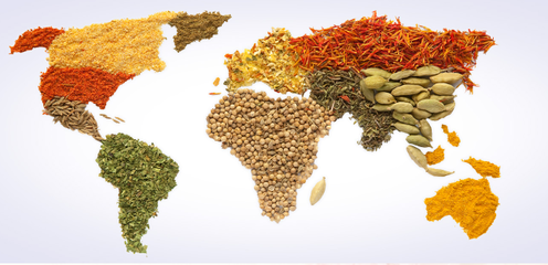 愛(ài)普股份2023年業(yè)績(jī)分析 營(yíng)收近28億元，食品配料業(yè)務(wù)貢獻(xiàn)超七成收入